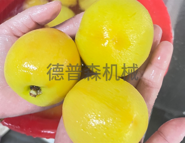黄桃蒸汽去皮设备